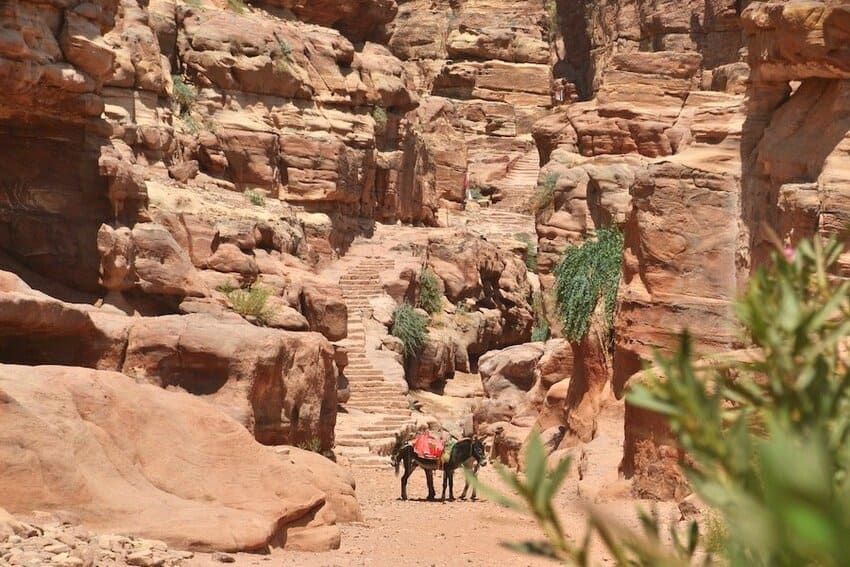 Es imprescindible tener un guía para visitar Petra