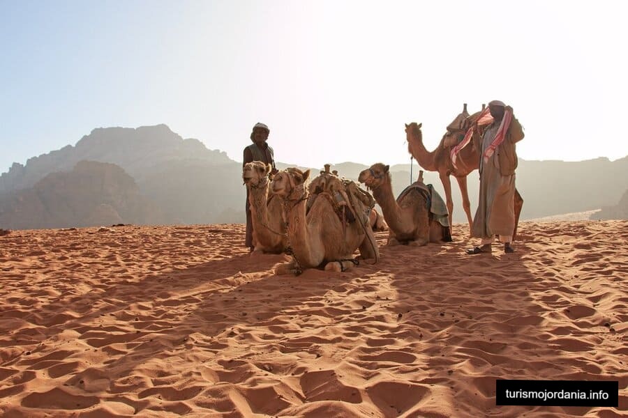 Historia y Cultura wadi rum