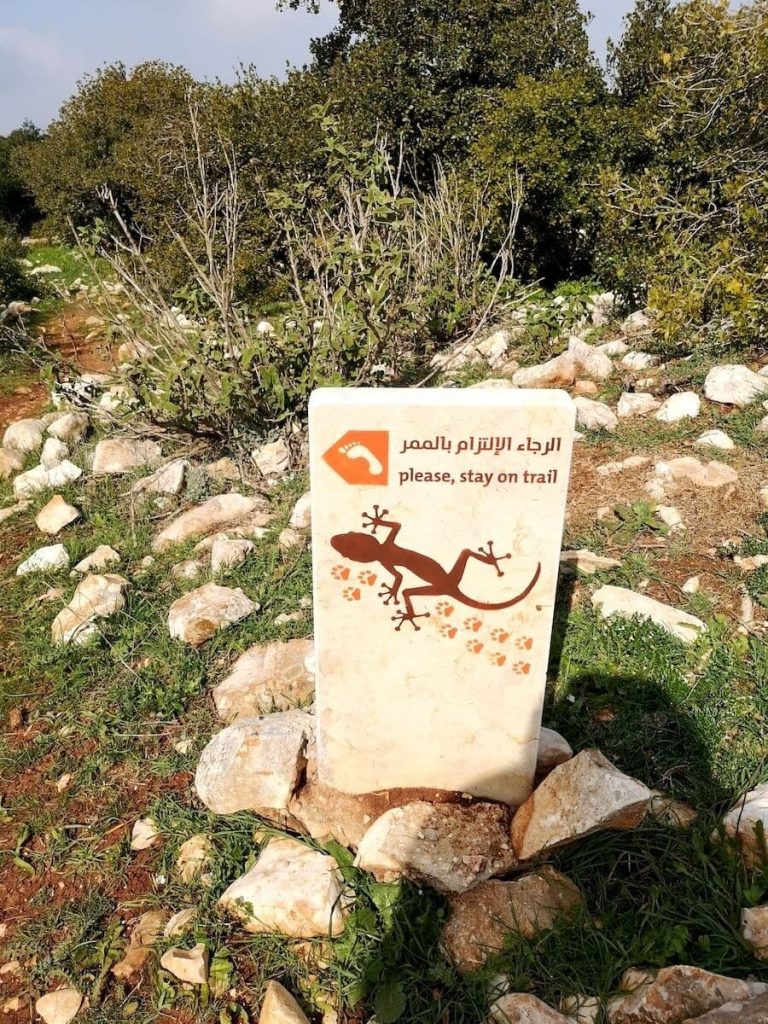 Reserva Forestal de Ajloun