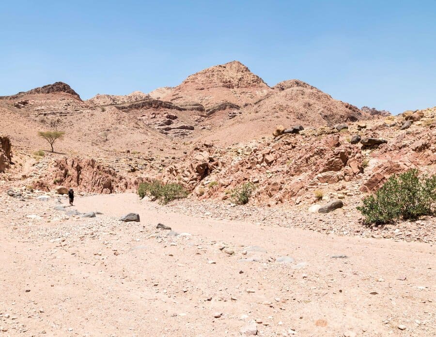 Sendero Wadi Dana a Feynan Eco-Lodge jordania